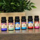 Essential Oil for Aromatherapy & Diffusers - Set of 6 Blended Scents Variety