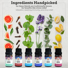 Essential Oil for Aromatherapy & Diffusers - Set of 6 Blended Scents Variety