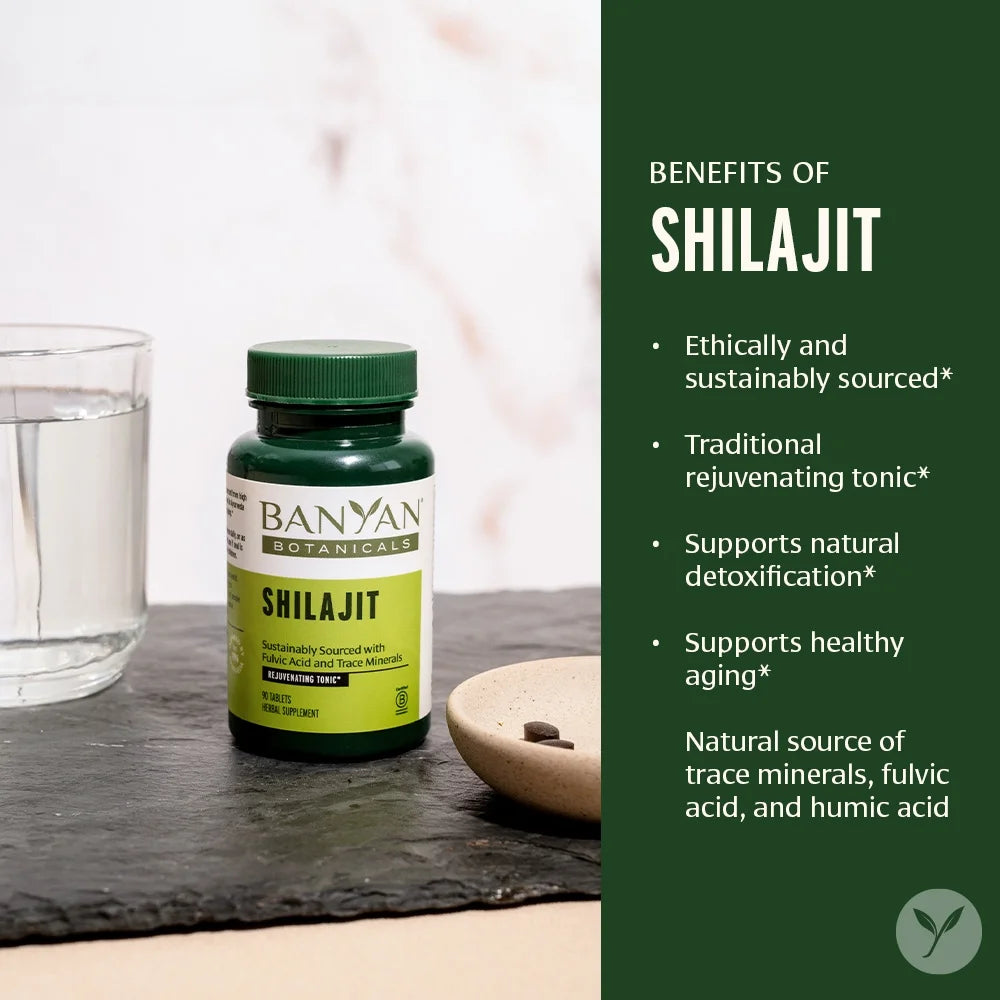 Shilajit – Organic and Sustainable Mineral Pitch – Mineral-Rich Shilajit Supplement for Natural Detoxification and Healthy Aging* – 90 Tablets – Non GMO Sustainably Sourced Vegan