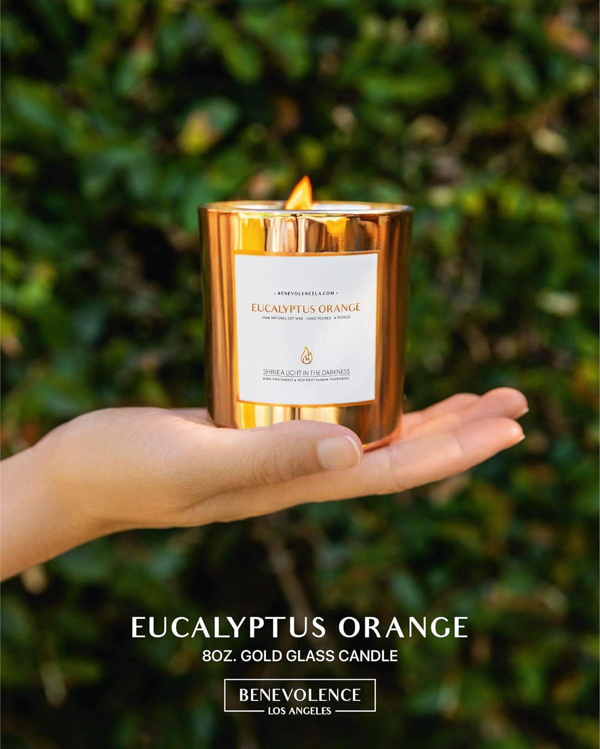 Benevolence Candles Eucalyptus Orange Wood Wick Candles, Summer Scented Candles for Women | 8 Oz Scented Candles for Home Scented | Eucalyptus Candles | Natural Candles | Men Candles | Bathroom Candle